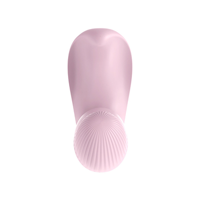 ระยะไกลควบคุม ผู้หญิง masturbator Vibrator ของเล่น Panties Vibrator สําหรับผู้หญิง