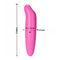 Pink G Spot เครื่องสั่นพ็อกเก็ต Rocket Dolphin เพศหญิงเครื่องสั่นของเล่น