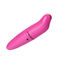 Pink G Spot เครื่องสั่นพ็อกเก็ต Rocket Dolphin เพศหญิงเครื่องสั่นของเล่น