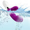 ใหม่ล่าสุด 10 ความเร็ว Barbed G Spot Vibrator Waterproof Oral Clit Vibrator สำหรับผู้หญิง